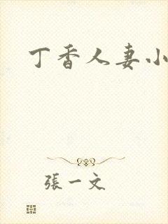 丁香人妻小说封面