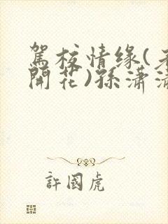 驾校情缘(老树开花)孙潇潇第一次趣笔阁封面