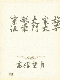 穿越大家族之风流豪门太子爷