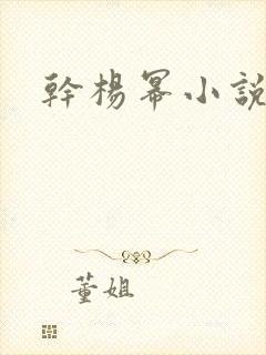 干杨幂小说封面