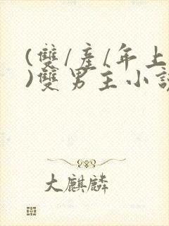 (双/产/年上)双男主小说