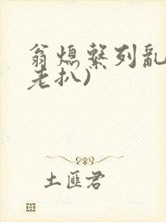 翁熄系列乱 (老扒)封面