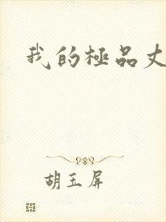 我的极品丈母娘封面