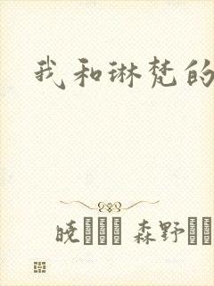 我和琳梵的故事