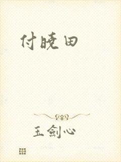 付晓田