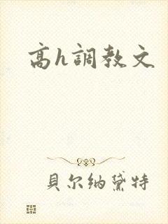 高h调教文