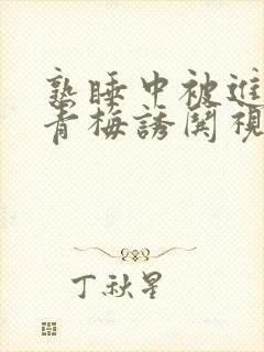 熟睡中被进了H青梅诱哄视频