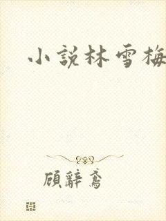 小说林雪梅