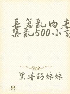 长篇乱肉老师合集乱500小说