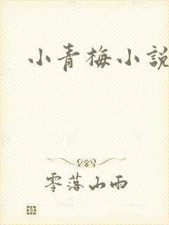小青梅小说