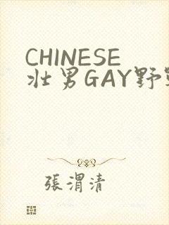 CHINESE壮男GAY野战强迫TUBE封面