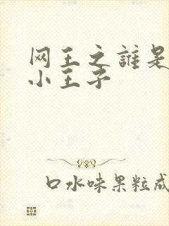 网王之谁是我的小王子