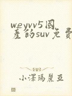 weyvv5国产的suv免费