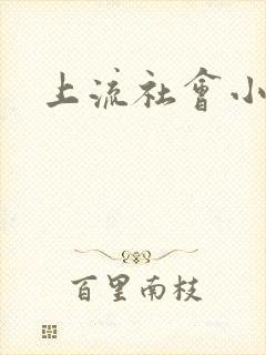 上流社会小说封面