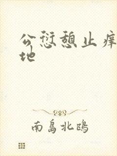 公愆憩止痒玉米地