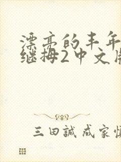 漂亮的丰年经的继拇2中文版