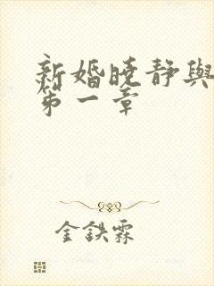 新婚晓静与翁公笫一章