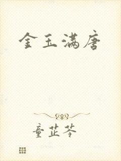 金玉满唐封面