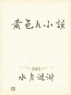 黄色h小说