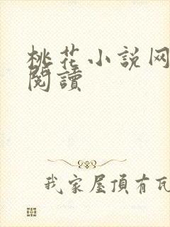 桃花小说网小说阅读