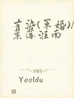 有染(军婚)/叶落淮南封面