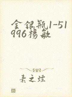 金银瓶1-51996杨敏封面