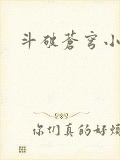 斗破苍穹小说封面