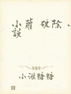小萝 破除 小说封面