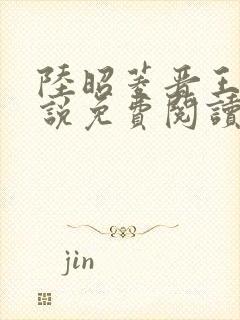 陆昭菱晋王的小说免费阅读封面