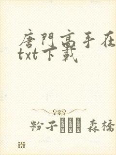 唐门高手在异世txt下载