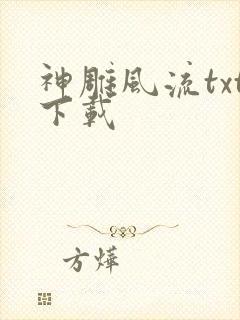 神雕风流txt下载