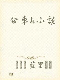公车h小说