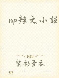 np辣文小说
