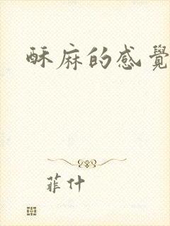 酥麻的感觉小说封面