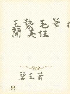 玉势 毛笔 撑开 夹住封面