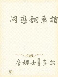 网恋翻车指南封面