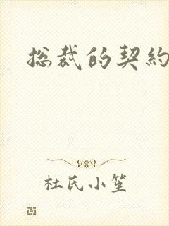 总裁的契约情人