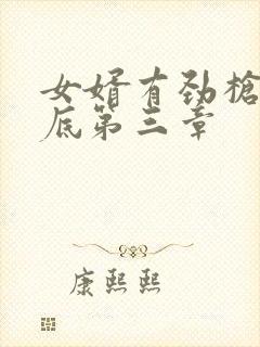 女婿有劲枪枪到底第三章