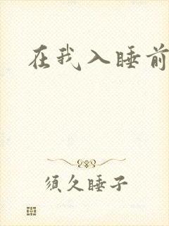 在我入睡前封面