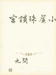 宫锁珠帘小说封面