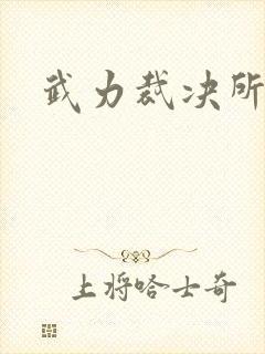 武力裁决所封面