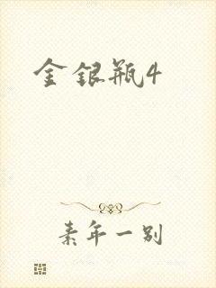 金银瓶4