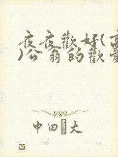 夜夜欢好(高h)公翁的欢爱h封面