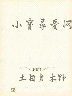 小宝寻爱网封面
