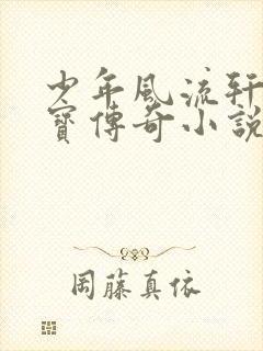 少年风流轩辕大宝传奇小说封面