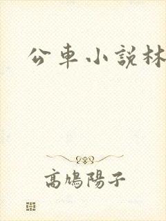 公车小说林蔓蔓