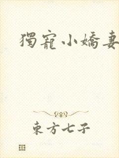 独宠小娇妻封面