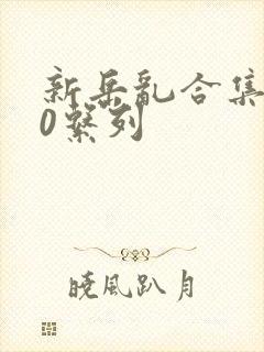 新岳乱合集500系列