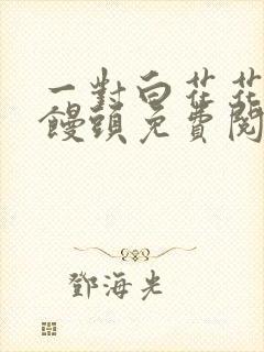 一对白花花的大馒头免费阅读