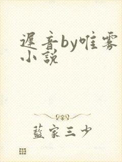 迟音by唯雾的小说